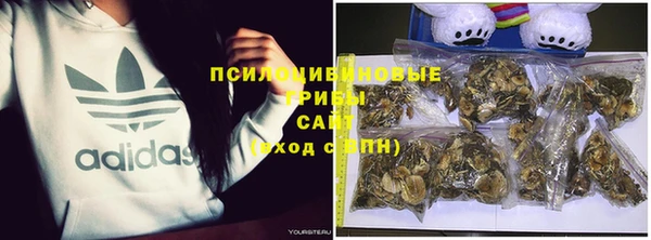каннабис Алексеевка