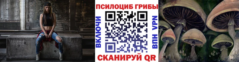где купить наркотик  Бахчисарай  Галлюциногенные грибы прущие грибы 