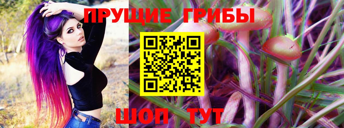 Галлюциногенные грибы GOLDEN TEACHER Бахчисарай